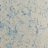 EFFETTO FILANTE